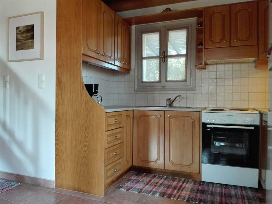 Sunny House With Amazing View For 4+2 Persons Villa Plaka  Ngoại thất bức ảnh